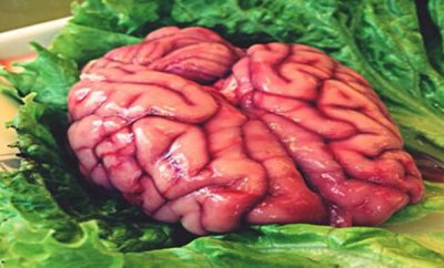 ​脑花的营养价值有哪些 脑花的制作方法（胆固醇高）