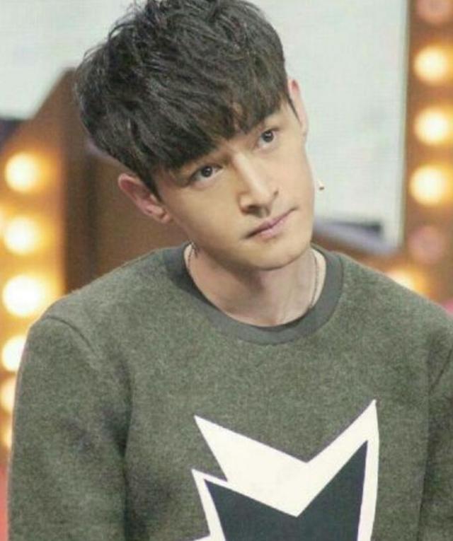 胡歌首谈车祸原因(胡歌23岁成名24岁车祸)(44)