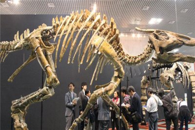 ​鲸龙：侏罗纪时代的本始恐龙（蜥足类的恐龙）