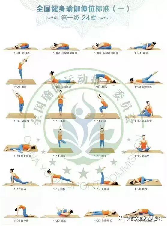 瑜伽健身教程基础课程（零基础入门瑜伽健身教程）(1)