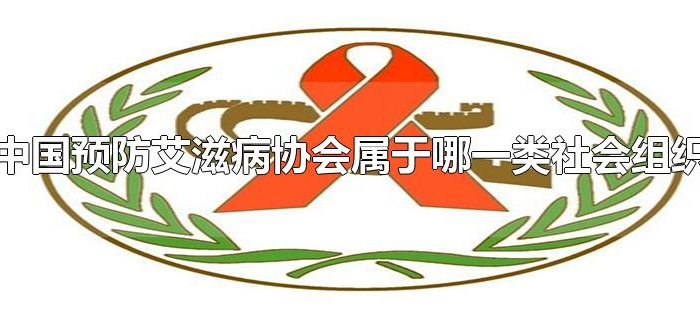 中国预防艾滋病协会属于哪一类社会组织