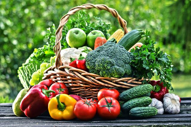 适合种植的有机蔬菜（有机蔬菜比普通的更有营养）(1)