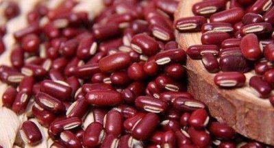 ​红小豆能代替红豆吗,红豆和红小豆一样