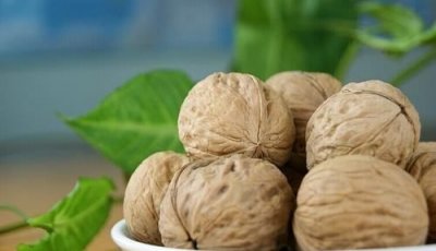 核桃果肉能吃,核桃的果肉能吃吗