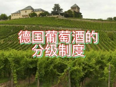 德国葡萄酒产量 德国葡萄酒种类