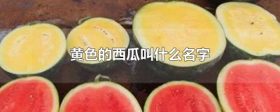 黄色的西瓜叫什么名字? 黄色的西瓜叫什么名字凤