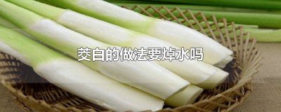 茭白的做法要焯水吗 茭白的做法要焯水吗窍门