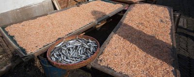 储备与贮备的区别与联系 储备与储存的区别