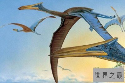 ​史上最大的飞行动物，风神翼龙能够捕杀霸王龙