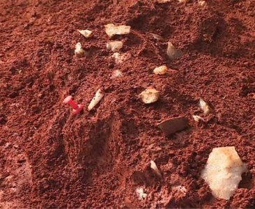 ​江西省高安市发现旧石器时代旷野遗址 出土5000余件石制品