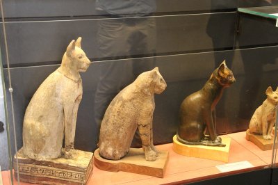 ​为什么古埃及人对猫如此着迷？