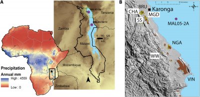 ​非洲东部马拉维湖北岸的考古证据表明古人类用火改变整个生态系统
