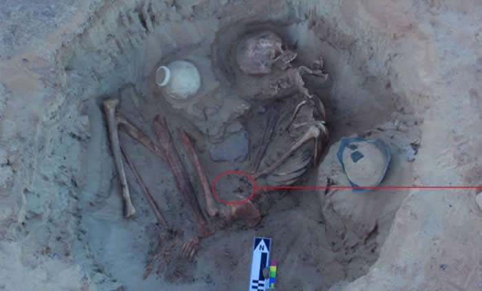 一支意大利与美国合作的团队，在埃及南部亚斯文（Aswan）近郊发掘出一名古代女子与她未出世胎儿的骨骸。 COURTESY MINISTRY OF ANTIQUI