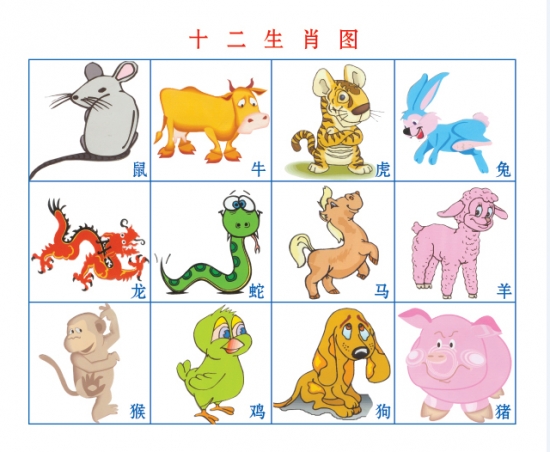 看看你的生肖适合养什么植物(图1)