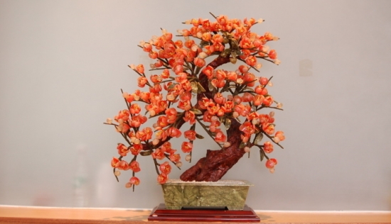 看看你的生肖适合养什么植物(图12)