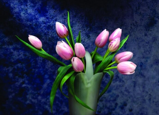 12星座适合养什么花草，12星座养什么植物旺财(图2)