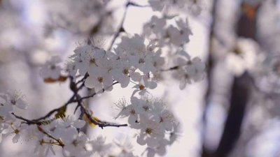 ​形容陪伴孩子成长的朋友圈（陪儿女一起长大）