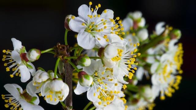 形容陪伴孩子成长的朋友圈(图2)