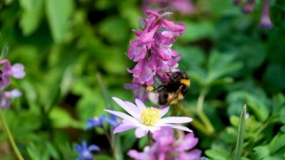 ​头疼的心情说说怎么写（写你的心情）