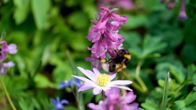 头疼的心情说说怎么写(图1)