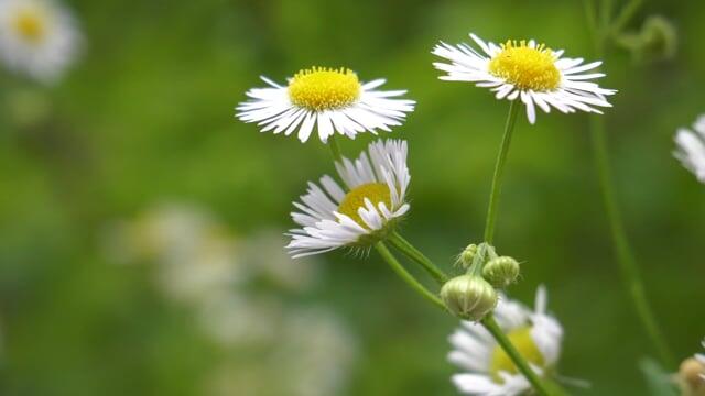头疼的心情说说怎么写(图2)