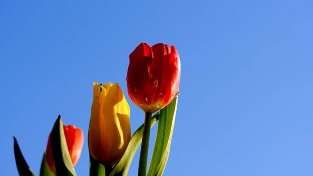 头疼的心情说说怎么写(图3)