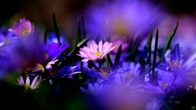 ​形容等待煎熬的心情说说（忍耐煎熬）