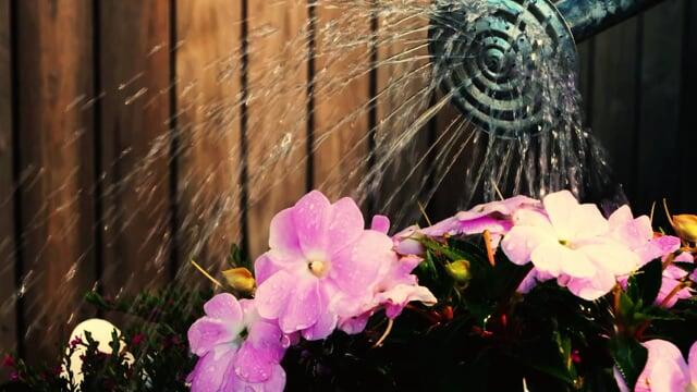 形容等待煎熬的心情说说(图2)