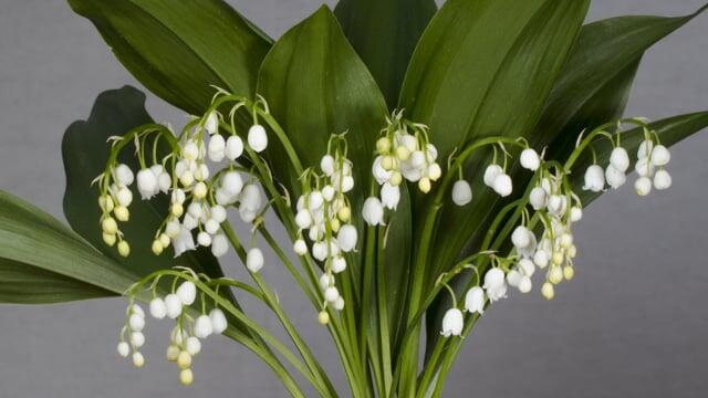 形容等待煎熬的心情说说(图3)