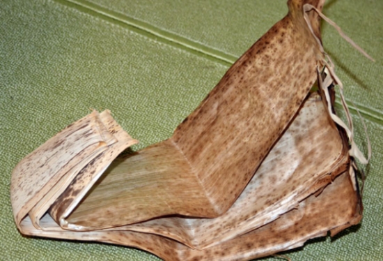 一定要看，包粽子居然可以用这些叶子(图17)