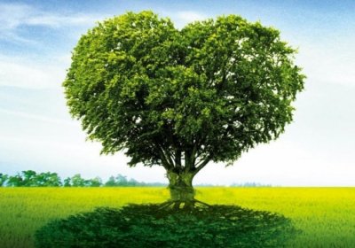 ​关于植物的10个冷知识，你知道多少