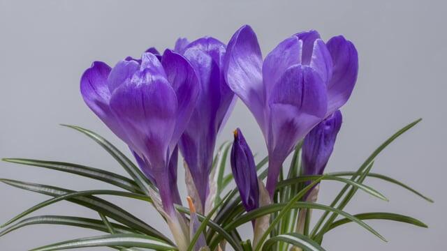 迎接二胎宝宝出生的短句(图1)