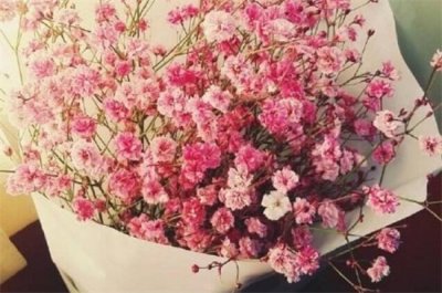 ​满天星适合送女朋友吗，适合送女友表达浓浓爱意（图）