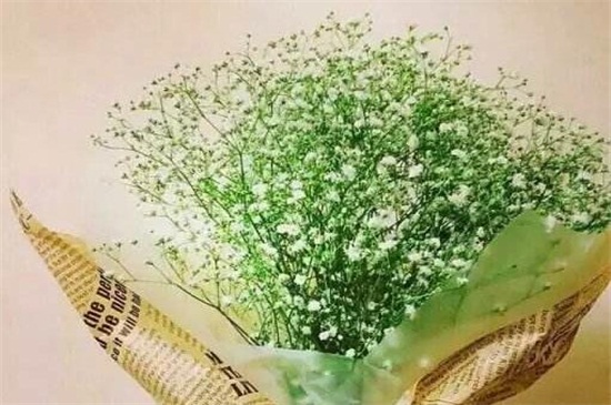 满天星适合送女朋友吗，适合送女友表达浓浓爱意（图）(图8)