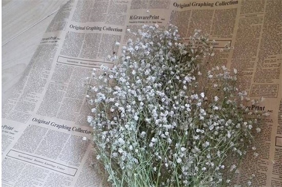 新鲜满天星如何做干花，满天星干花制作4大方法（图）(图2)