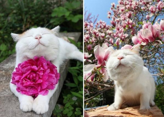 动物与自然：动物与植物有趣的瞬间(图20)