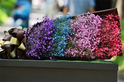 ​满天星干花和鲜花区别，颜色和水分不同（图）