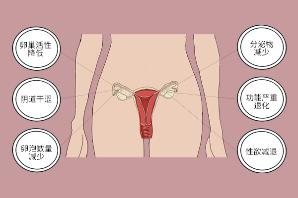 女性荷尔蒙谁能闻到，女性荷尔蒙爆发的表现