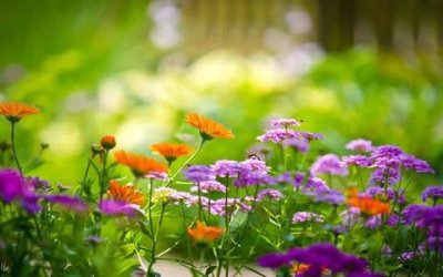 ​中秋节最经典的诗句三年级（关于中秋节的精美佳句）