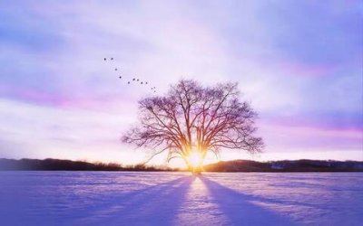 ​中秋团圆美好古诗词，中秋节最经典的诗句