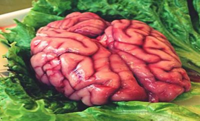 ​脑花的营养价值有哪些 脑花的制作方法（胆固醇高）