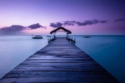 ​圣诞祝福语短句搞笑，高质量的圣诞祝福语