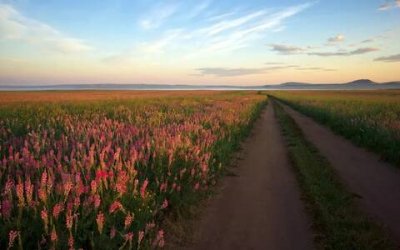 ​个性签名语句霸气简短（独特个性签名短句）