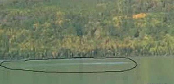 喀纳斯湖水怪究竟表露，长15米沉32吨的新式物种