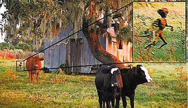 美洲卓柏卡布拉,恐惧的人形吸血怪兽(图片)