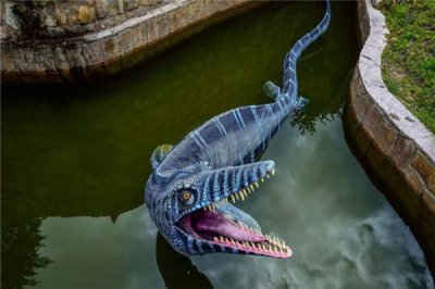 ​沧龙类：海生匍匐径物 有着超快的游动速度