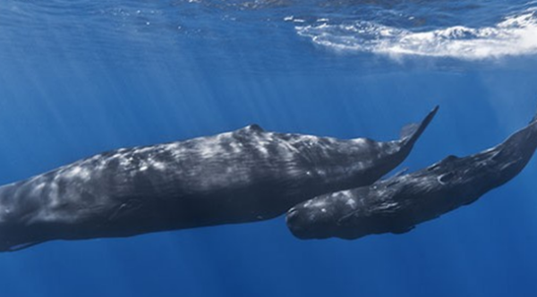 99%人不领会的15件事务,瞅完后你黄昏必定睡不着