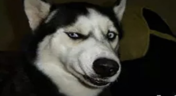 99%人不领会的15件事务,瞅完后你黄昏必定睡不着