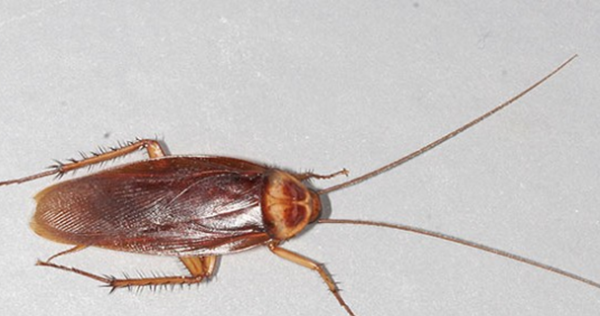 99%人不领会的15件事务,瞅完后你黄昏必定睡不着