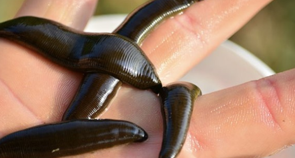 99%人不领会的15件事务,瞅完后你黄昏必定睡不着